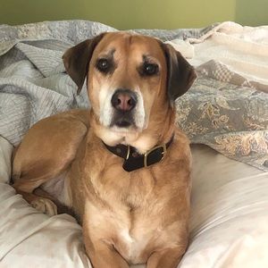 Meet your Posher, Brenda